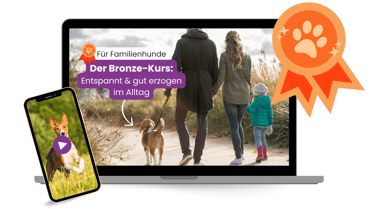 familienhund-bronzekurs-schleife